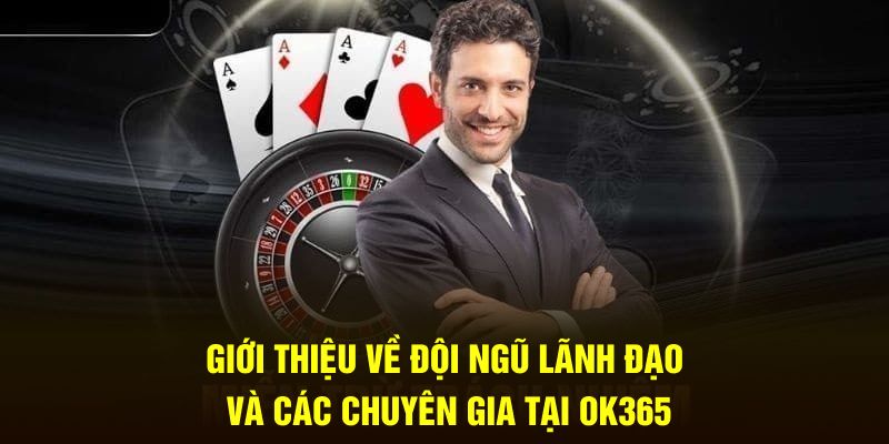 Giới thiệu về đội ngũ lãnh đạo và các chuyên gia tại OK365